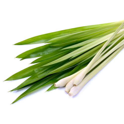 LEMONGRASS