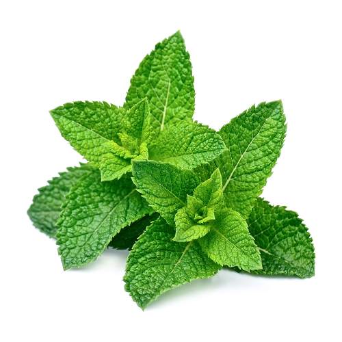 PEPPERMINT
